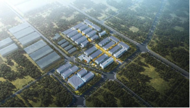 2121非凡·(中国集团)体育官方网站