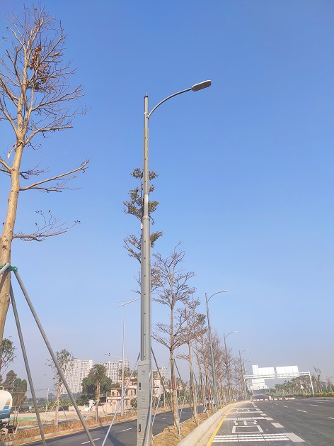 2121非凡·(中国集团)体育官方网站